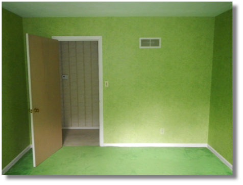 Belinder expansion - guest bedroom looking w - before